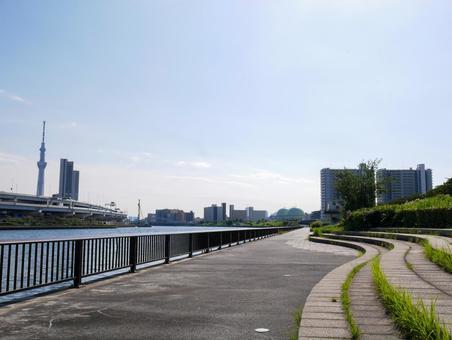 隅田川沿い、首都高とスカイツリー スカイツリー,首都高,隅田川の写真素材