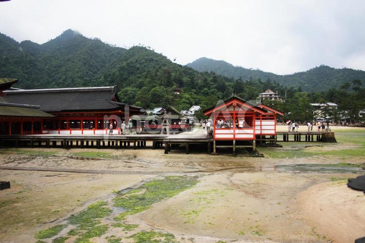 安芸の宮島社殿 宮島,厳島神社,初詣の写真素材