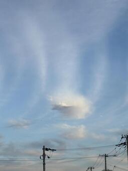 雲の筋 雲,空,白いの写真素材