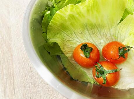 【生野菜サラダ】レタスとトマト レタス,トマト,サラダの写真素材