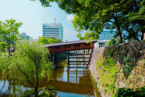【和歌山】和歌山城 2025 【和歌山】和歌山城 2025 和歌山城,和歌山,2025の写真素材