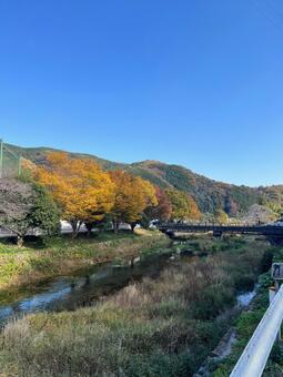 東秩父村の紅葉 紅葉,自然,風景の写真素材