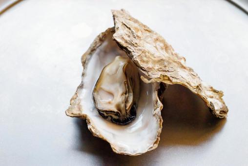 Photo, oyster, shell, seafood, 