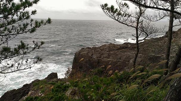 崖と海と自然と3 崖と海と自然と3の写真