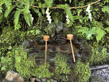貴船神社 奥宮 貴船,神社,奥宮の写真素材