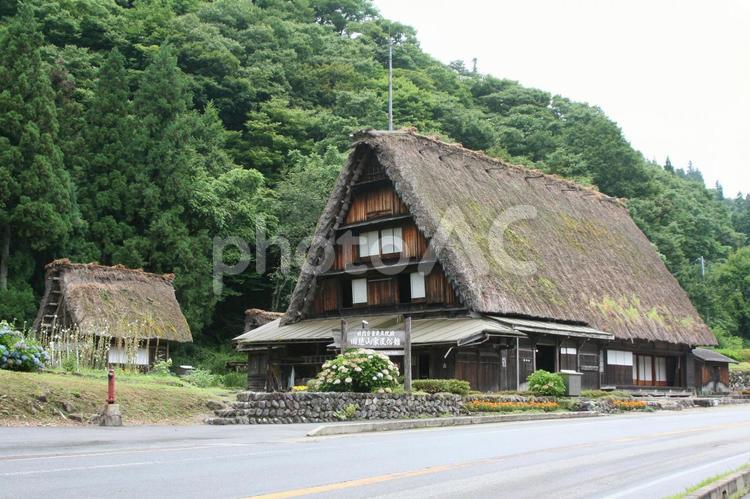合掌造りの家 家,平屋,合掌造りの写真素材
