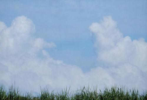【空の写真】夏空 【空の写真】夏空の写真