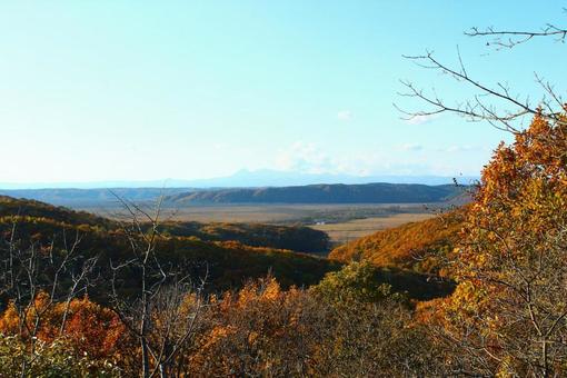 北海道 釧路湿原 紅葉 北海道 釧路湿原 紅葉の写真