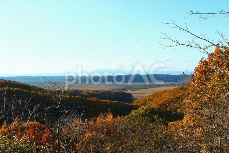 北海道　釧路湿原　紅葉 北海道,釧路湿原,紅葉の写真素材
