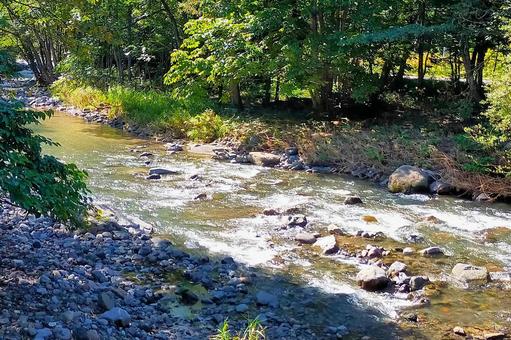 山間部の川5 山間部の川5の写真