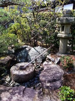 庭の一角 庭の一角の写真