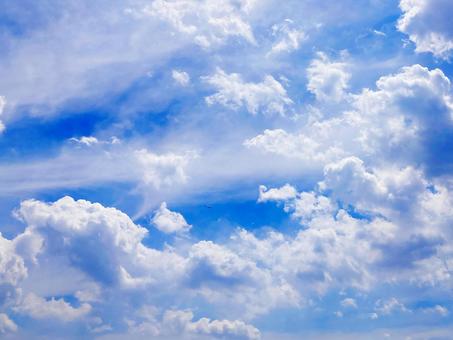 夏空 夏空の写真