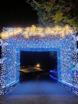 虹の郷　イルミネーション イルミネーション,クリスマス,夜景の写真素材