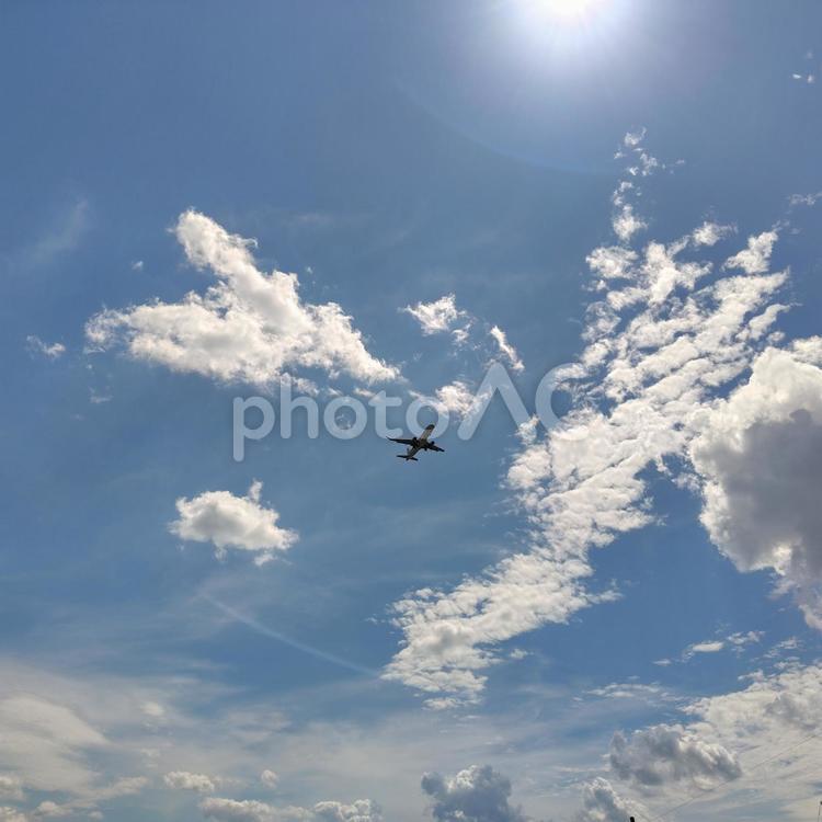 夏空を降下してくる飛行機 夏,夏空,雲の写真素材