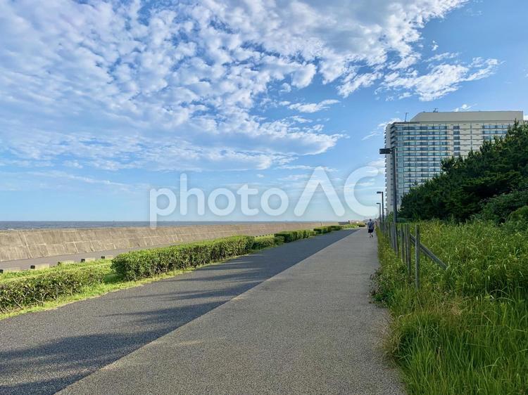 海岸線の散歩 海岸,散歩,海の写真素材