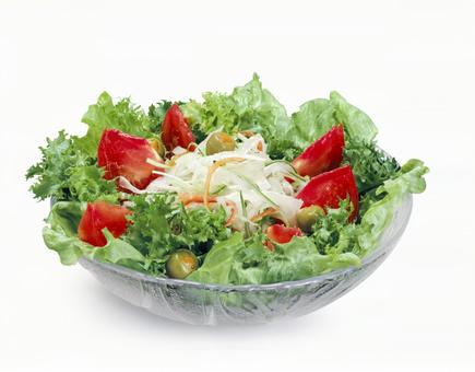 新鮮生野菜サラダ 新鮮生野菜サラダ サラダ,生野菜,野菜サラダの写真素材
