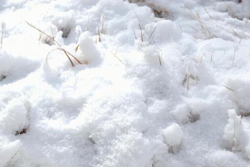地面の雪 雪,冬,積雪の写真素材