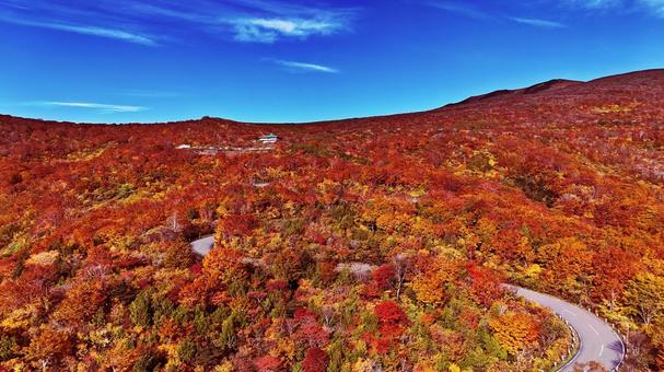 神の絨毯へ続く道 神の絨毯へ続く道 山,秋,紅葉の写真素材