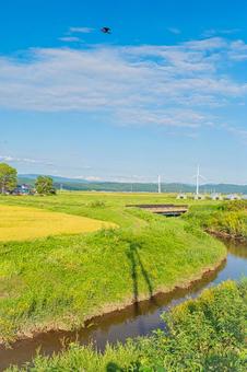 北海道 乙部町の風景 北海道 乙部町の風景 北海道,乙部町,乙部の写真素材