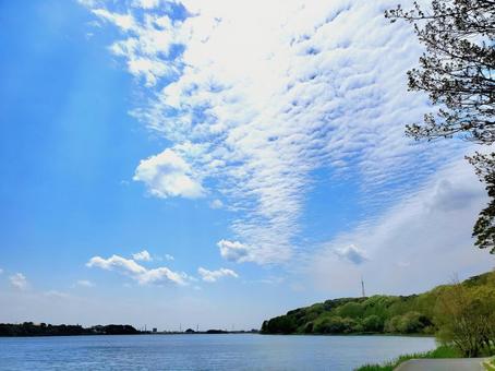 きれいな空 きれいな空の写真