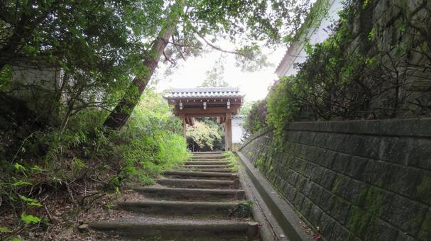 大野城 城跡の風景 大野城 城跡の風景の写真