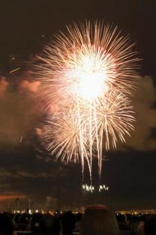 花火 firework 花火 fireworkの写真