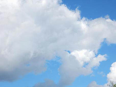 【空の写真】秋空 【空の写真】秋空 秋空,空,雲の写真素材