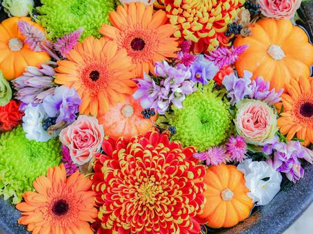 花手水② 花手水,最明寺,ハロウィンの写真素材