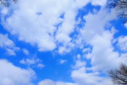 青空と雲の背景素材 青空と雲の背景素材の写真