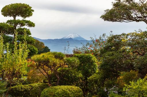 山梨側から眺めた秋の冠雪した富士山 富士山,山,秋の写真素材