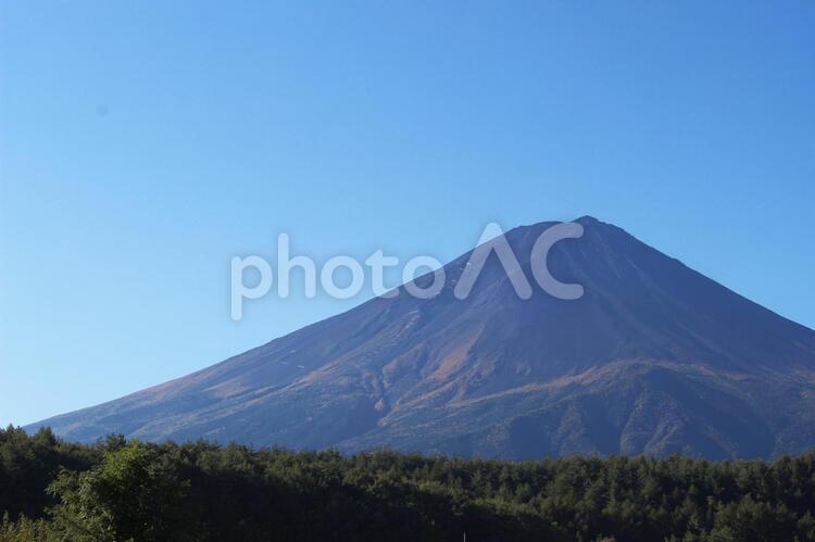 秋の富士山と樹海 富士山,秋,紅葉の写真素材