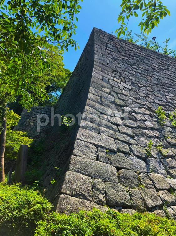 讃岐・丸亀城「青もみじ・石垣」 城,天守,石垣の写真素材