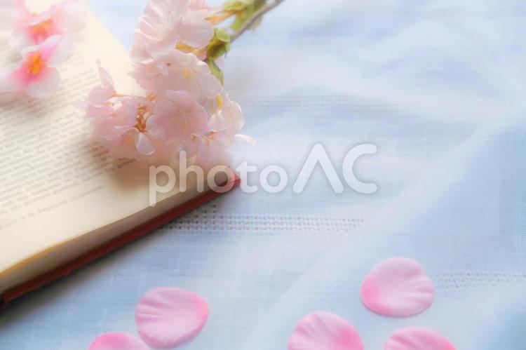 桜と洋書6 洋書,読書,古本の写真素材
