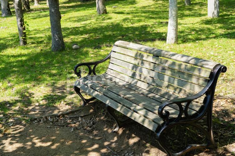 木陰のベンチ 木陰,避暑,ベンチの写真素材