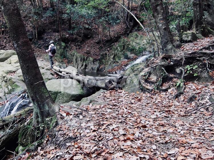 丸太の橋を渡る登山者 登山,ハイキング,渓谷の写真素材