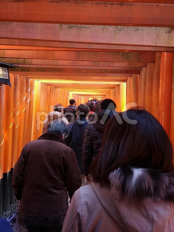 混雑する伏見稲荷の現実 人,宗教,光の写真素材