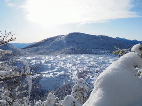雪景色・冬の北横岳坪庭 雪景色・冬の北横岳坪庭 北横岳,八ヶ岳,北八ヶ岳の写真素材