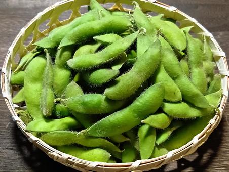 枝豆 枝豆の写真