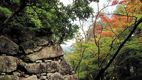 初秋の八幡城石垣 初秋の八幡城石垣 八幡山,初秋,石垣の写真素材