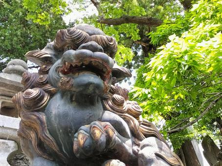 成田山新勝寺 毀れ不動堂前の狛犬 成田山新勝寺 毀れ不動堂前の狛犬 成田山,新勝寺,毀れ不動堂の写真素材