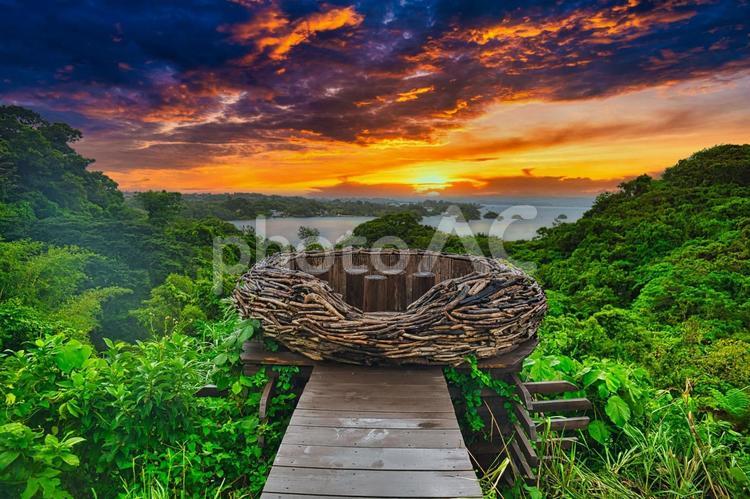 沖縄北部の風景 沖縄,北部,森の写真素材