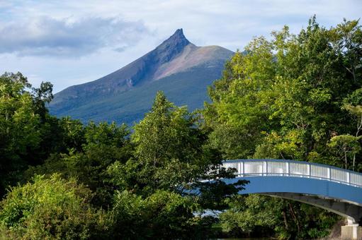緑の中の大沼公園と駒ヶ岳 緑の中の大沼公園と駒ヶ岳 駒ヶ岳,大沼公園,緑の写真素材
