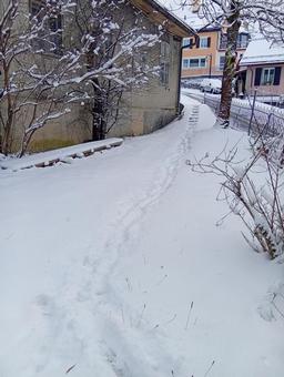 雪の足跡 冬,snow,風景の写真素材