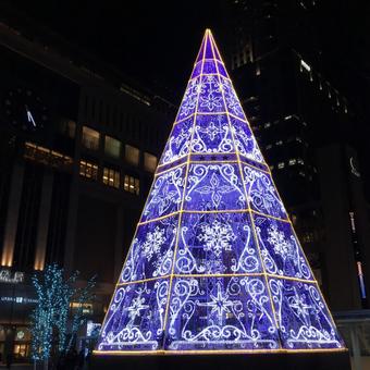 イルミネーション(札幌) イルミネーション(札幌) イルミネーション,冬,ホワイトイルミネーションの写真素材