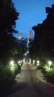 階段 夜景,nightseen,階段の写真素材