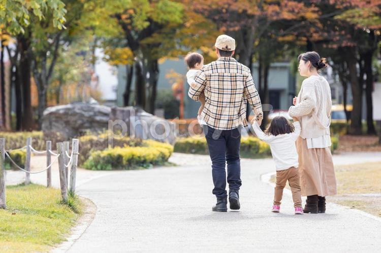 秋の公園で遊ぶ家族・ファミリー 家族,子供,ファミリーの写真素材
