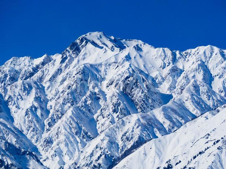 冬の白馬村　冠雪した北アルプス　五竜岳 冬,白馬村,冠雪の写真素材