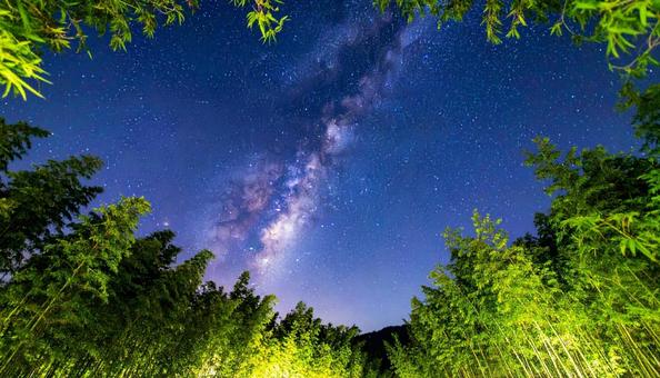 七夕 笹 天の川 七夕 笹 天の川の写真