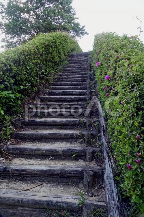 散歩道の階段 そよ風,みどり,コースの写真素材