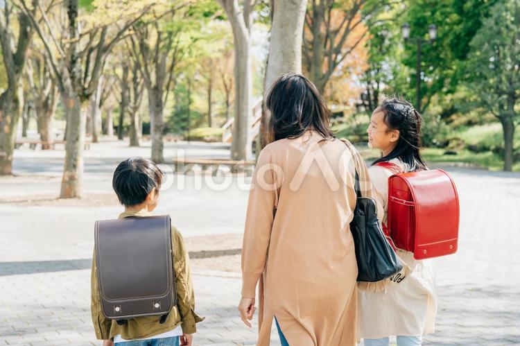 公園を歩く親子（後ろ姿） 親子,子供,送り迎えの写真素材